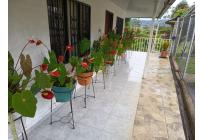 Fincas y Casas Campestres, Venta, Dagua - $370.000.000
