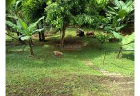 Fincas y Casas Campestres, Venta, Dagua - $370.000.000
