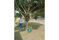 Fincas y Casas Campestres, Venta, Dagua - $370.000.000