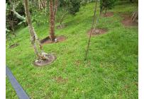 Fincas y Casas Campestres, Venta, Dagua - $370.000.000