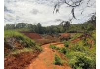 Lotes, Venta, Dagua - $215.000.000