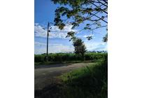 Lotes, Venta, Candelaria - $580.000.000