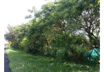 Lotes, Venta, Candelaria - $580.000.000