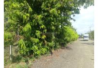 Lotes, Venta, Candelaria - $580.000.000