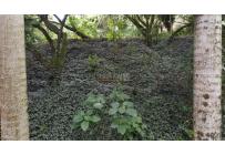 Lotes, Venta, Cristo Rey - $600.000.000