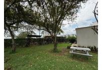 Apartamentos, Alquiler, Ciudad Pacifica - $1.200.000