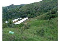 Fincas y Casas Campestres, Venta, Guacarí - $1.200.000.000