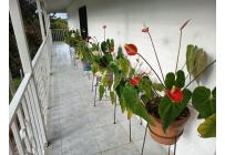 Fincas y Casas Campestres, Venta, Dagua - $370.000.000