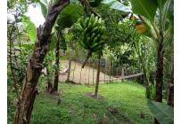 Fincas y Casas Campestres, Venta, Dagua - $370.000.000