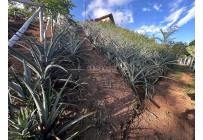 Casas, Venta, La Cumbre - $500.000.000