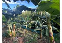 Casas, Venta, La Cumbre - $500.000.000