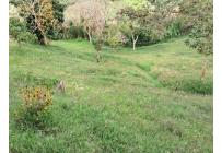 Fincas y Casas Campestres, Venta, La Elvira - $480.000.000
