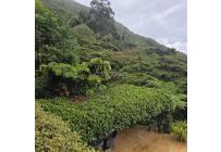 Fincas y Casas Campestres, Venta, Saladito - $4.000.000.000