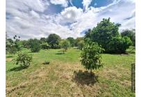 Lotes, Venta, Ginebra - $598.000.000