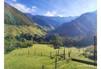 Fincas y Casas Campestres, Venta, Ginebra - $2.800.000.000