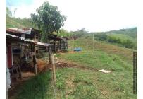 Fincas y Casas Campestres, Venta, Ginebra - $2.800.000.000