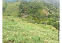 Fincas y Casas Campestres, Venta, Ginebra - $2.800.000.000