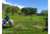 Fincas y Casas Campestres, Venta, Ginebra - $2.800.000.000