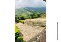 Fincas y Casas Campestres, Venta, La Buitrera - $900.000.000
