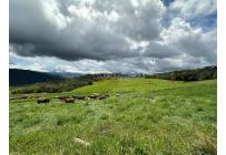 Lotes, Venta, La Cumbre - $140.000.000