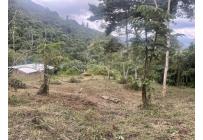 Lotes, Venta, La Cumbre - $60.000.000