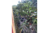 Apartamentos, Venta, Paso del Comercio - $165.000.000