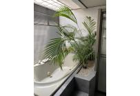 Casas, Venta, La Flora - $700.000.000
