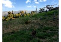 Lotes, Venta, Yumbo - $560.000.000