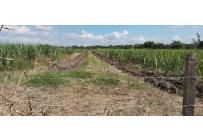 Fincas y Casas Campestres, Venta, Buga