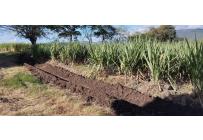 Fincas y Casas Campestres, Venta, Buga