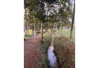 Lotes, Venta, Ciudad Country - $380.000.000