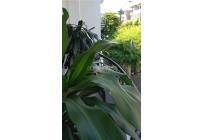 Casas, Venta, Calicanto - $650.000.000