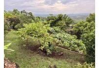 Casas, Venta, Jamundí - $1.700.000.000