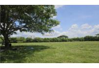 Lotes, Venta, Palmira - $300.000.000