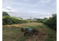 Lotes, Venta, Palmira - $210.000.000