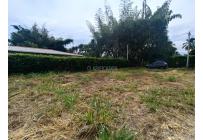 Lotes, Venta, Palmira - $210.000.000