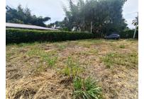 Lotes, Venta, Palmira - $210.000.000