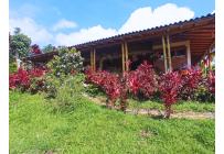 Casas, Venta, Restrepo - $400.000.000