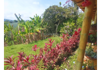 Casas, Venta, Restrepo - $400.000.000