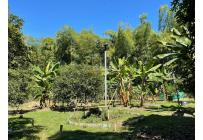 Fincas y Casas Campestres, Venta, Ginebra - $2.450.000.000