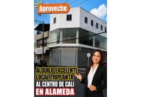 Locales y Bodegas, Alquiler, Alameda - $9.000.000