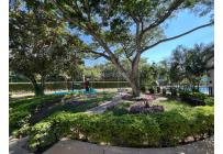 Apartamentos, Alquiler, Ciudad Pacifica - $1.300.000
