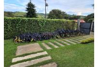 Fincas y Casas Campestres, Venta, Calima (Darién) - $1.000.000.000