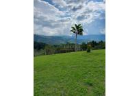 Fincas y Casas Campestres, Venta, Dagua - $570.000.000