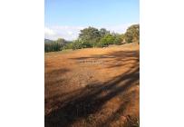 Lotes, Venta, Calima (Darién) - $360.000.000