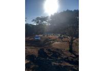 Lotes, Venta, Calima (Darién) - $360.000.000