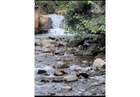 Lotes, Venta, Dagua - $200.000.000