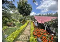 Fincas y Casas Campestres, Venta, Dagua - $460.000.000