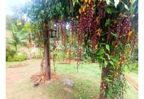 Fincas y Casas Campestres, Venta, Dagua - $460.000.000