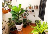 Apartamentos, Venta, Chipichape - $590.000.000